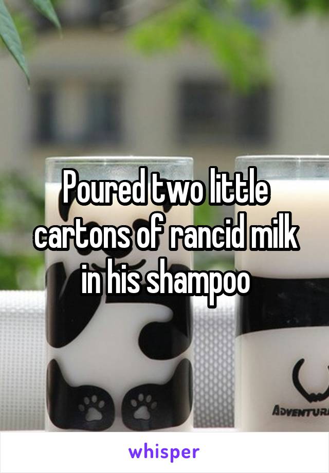 Poured two little cartons of rancid milk in his shampoo