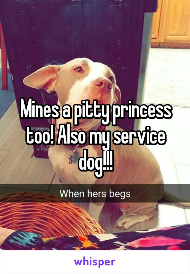 Mines a pitty princess too! Also my service dog!!!
