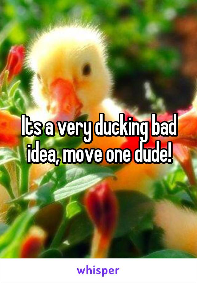 Its a very ducking bad idea, move one dude!
