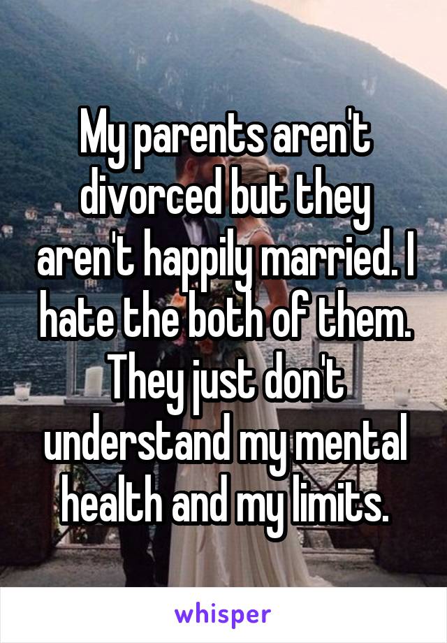 My parents aren't divorced but they aren't happily married. I hate the both of them. They just don't understand my mental health and my limits.