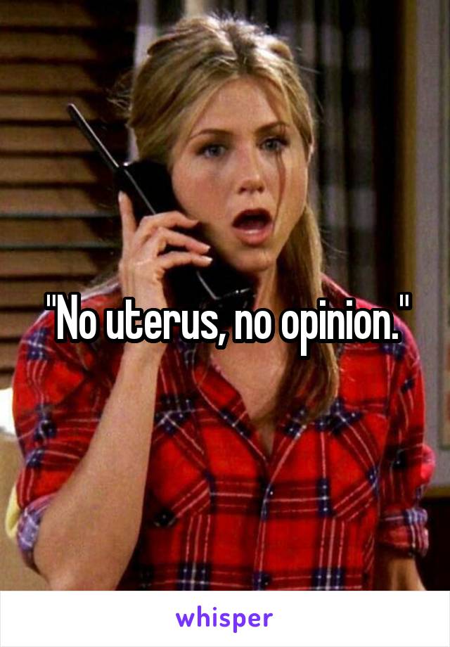 "No uterus, no opinion."