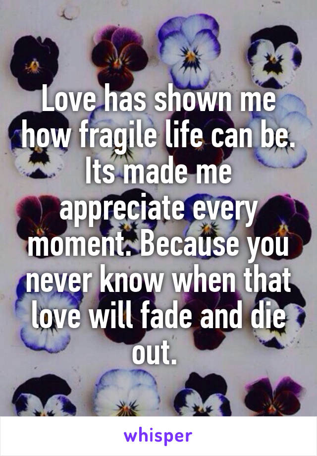 Love has shown me how fragile life can be. Its made me appreciate every moment. Because you never know when that love will fade and die out. 