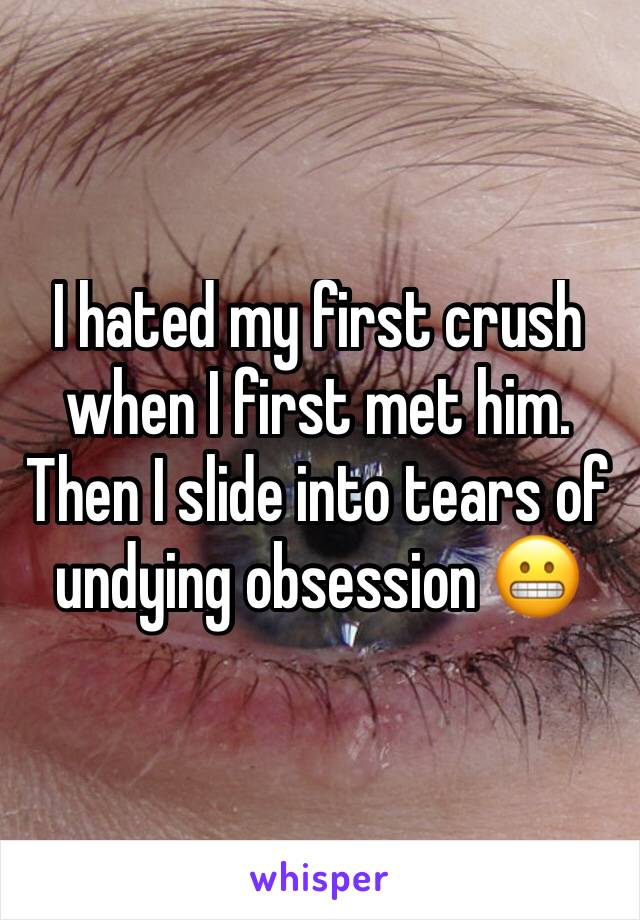 I hated my first crush when I first met him. Then I slide into tears of undying obsession 😬