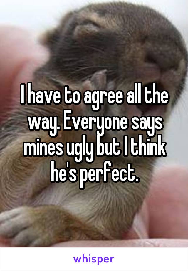 I have to agree all the way. Everyone says mines ugly but I think he's perfect.