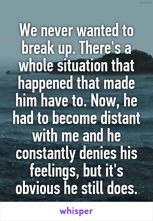 We never wanted to break up. There's a whole situation that happened that made him have to. Now, he had to become distant with me and he constantly denies his feelings, but it's obvious he still does.