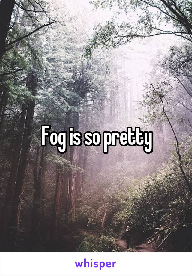 Fog is so pretty