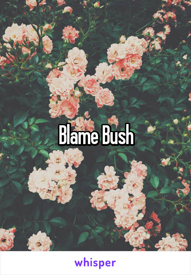 Blame Bush