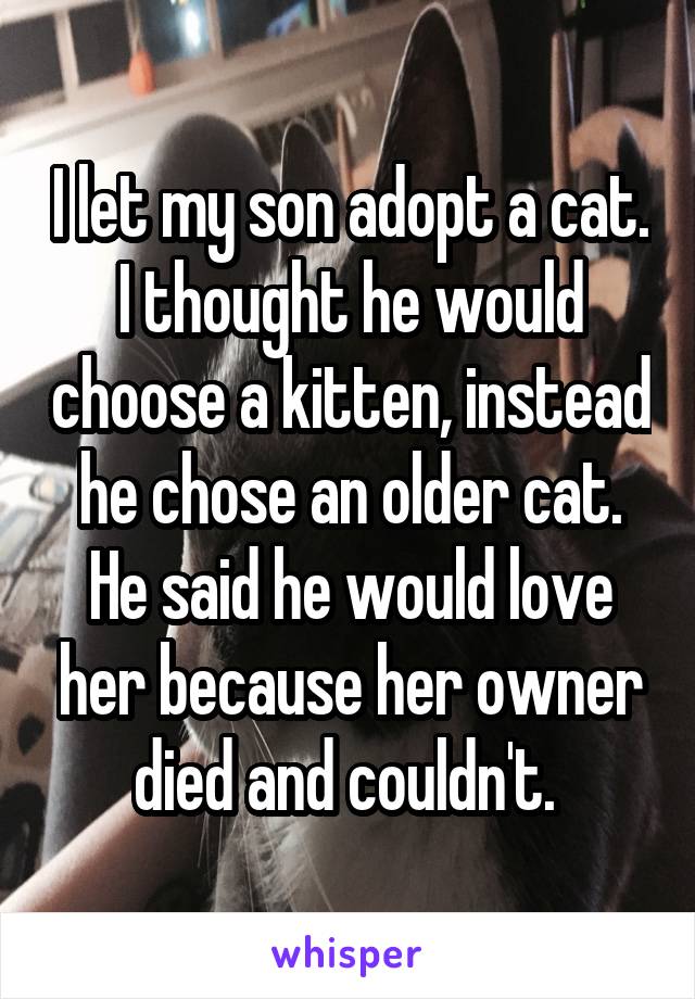 I let my son adopt a cat. I thought he would choose a kitten, instead he chose an older cat. He said he would love her because her owner died and couldn't. 