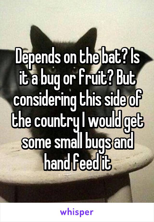 Depends on the bat? Is it a bug or fruit? But considering this side of the country I would get some small bugs and hand feed it