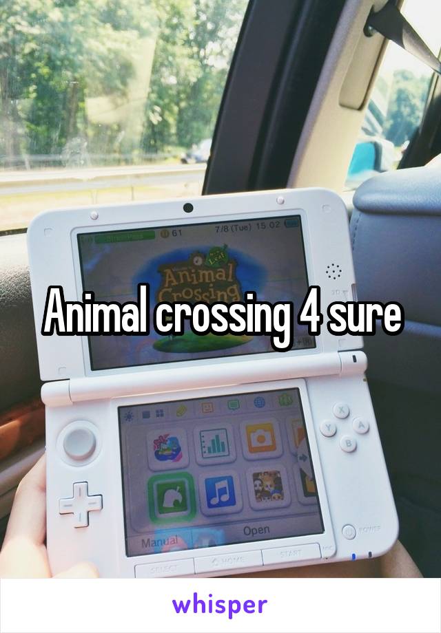 Animal crossing 4 sure