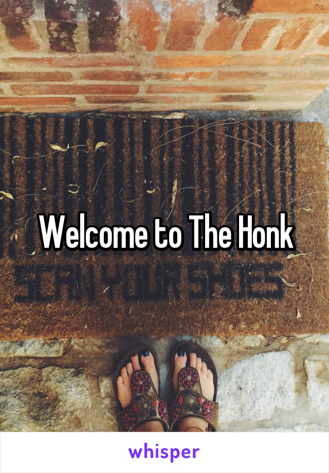 Welcome to The Honk