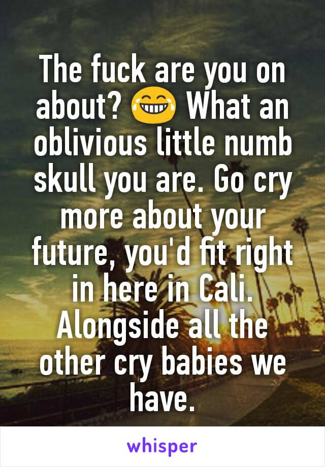 The fuck are you on about? 😂 What an oblivious little numb skull you are. Go cry more about your future, you'd fit right in here in Cali. Alongside all the other cry babies we have.