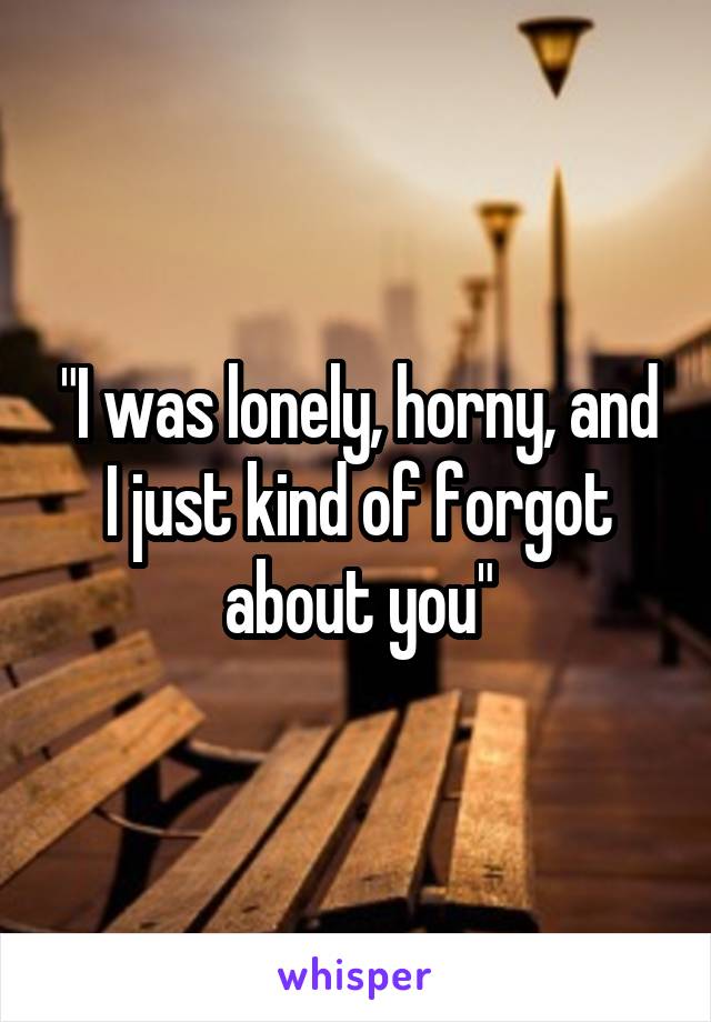 "I was lonely, horny, and I just kind of forgot about you"