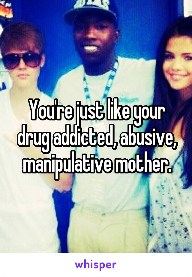 You're just like your drug addicted, abusive, manipulative mother.