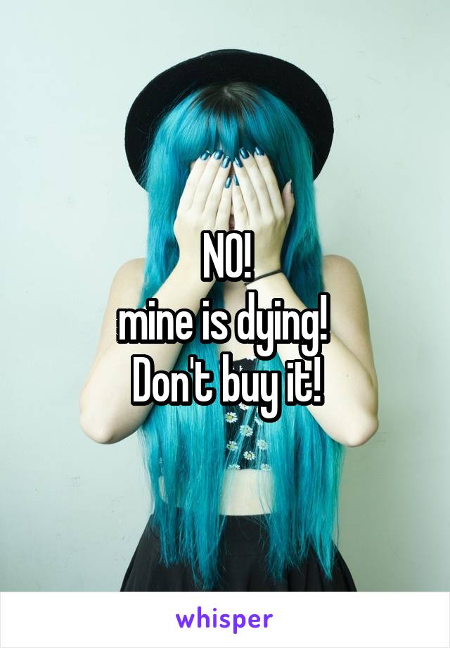 NO!
mine is dying! 
Don't buy it!