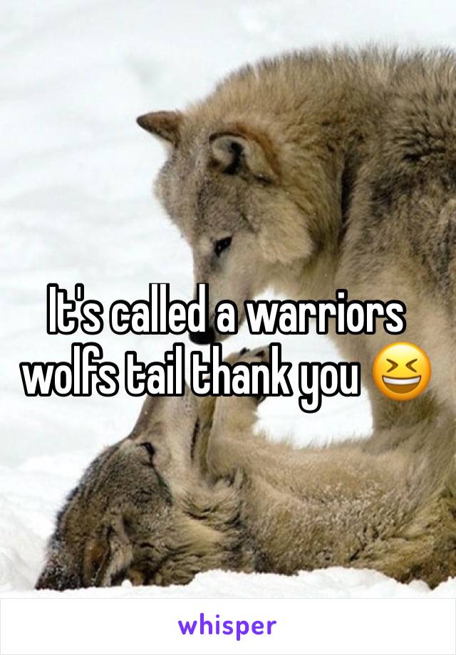 It's called a warriors wolfs tail thank you 😆