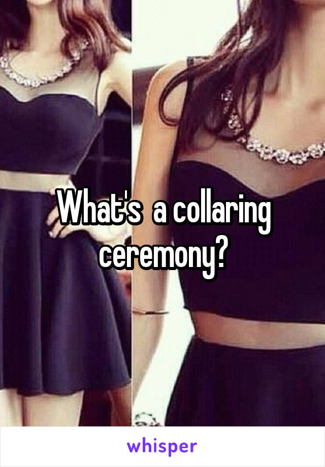 What's  a collaring ceremony?