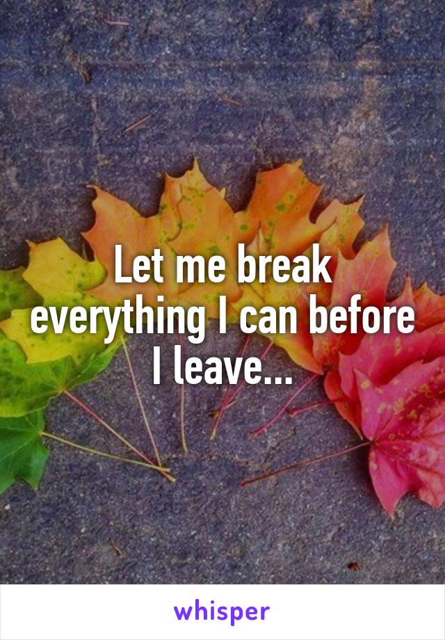 Let me break everything I can before I leave...