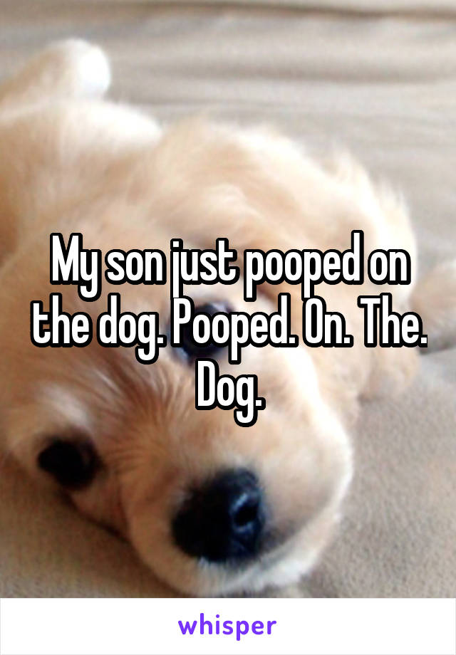 My son just pooped on the dog. Pooped. On. The. Dog.
