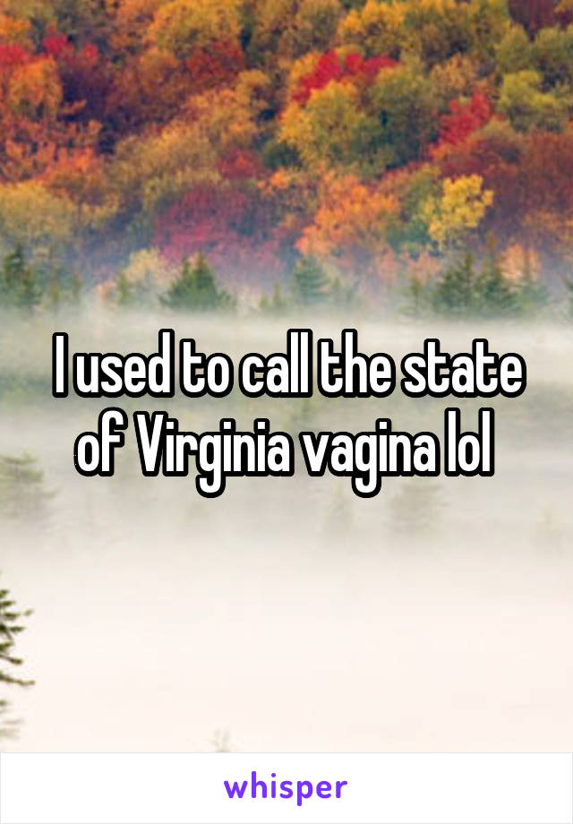 I used to call the state of Virginia vagina lol 