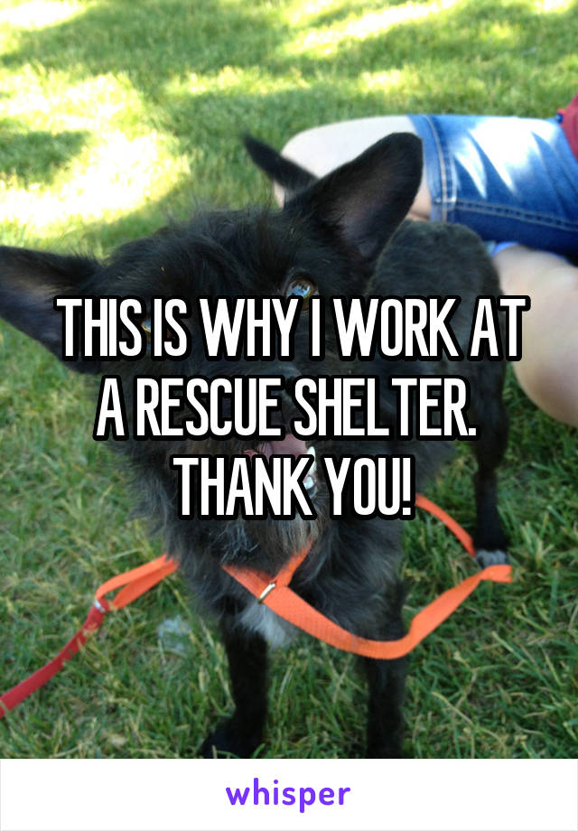 THIS IS WHY I WORK AT A RESCUE SHELTER. 
THANK YOU!
