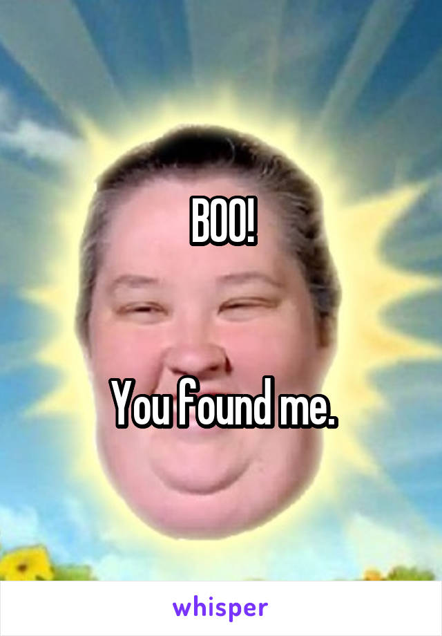 BOO!


You found me.