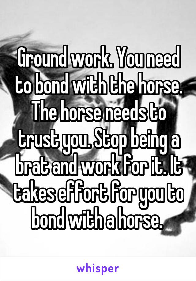 Ground work. You need to bond with the horse. The horse needs to trust you. Stop being a brat and work for it. It takes effort for you to bond with a horse. 