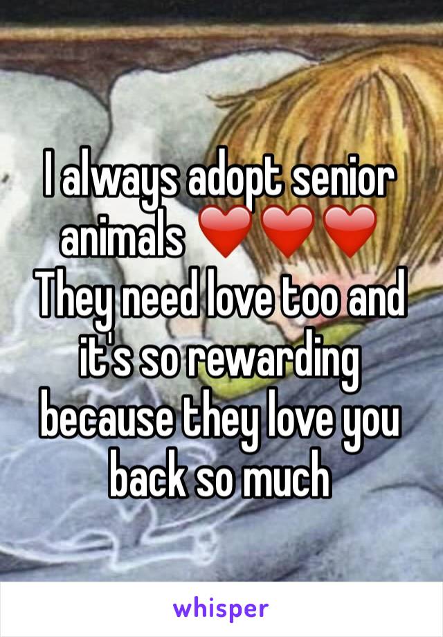 I always adopt senior animals ❤️❤️❤️ 
They need love too and it's so rewarding because they love you back so much 