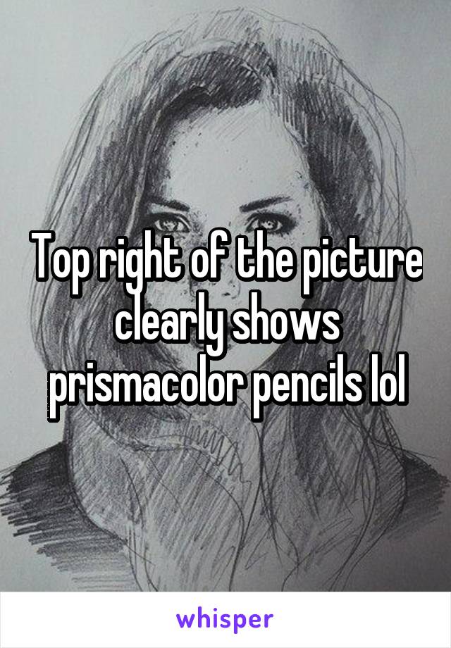 Top right of the picture clearly shows prismacolor pencils lol