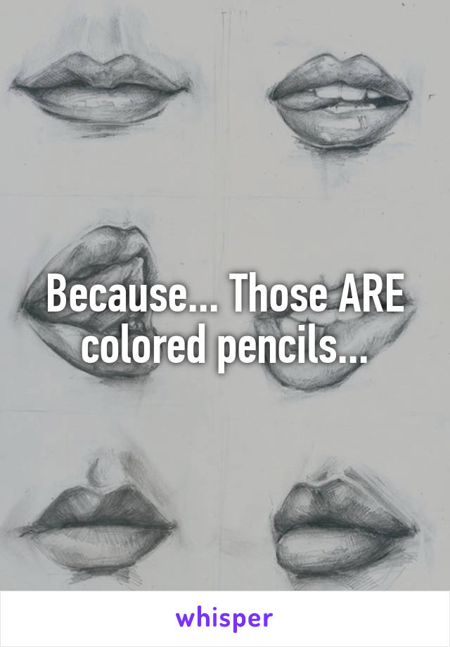 Because... Those ARE colored pencils...