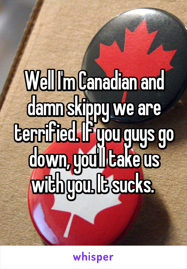 Well I'm Canadian and damn skippy we are terrified. If you guys go down, you'll take us with you. It sucks. 