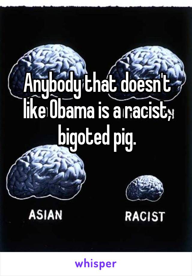 Anybody that doesn't like Obama is a racist, bigoted pig.

