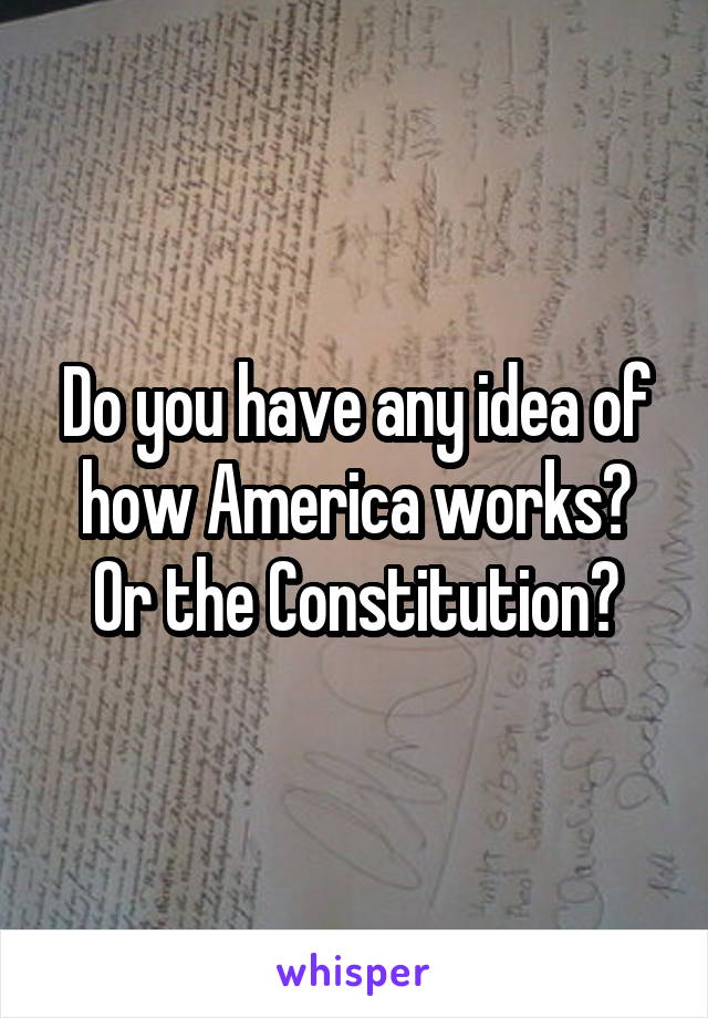 Do you have any idea of how America works? Or the Constitution?