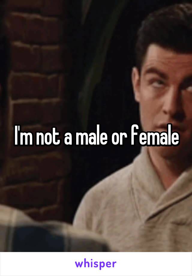 I'm not a male or female