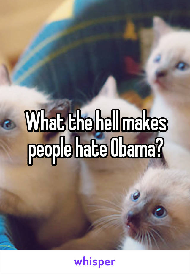 What the hell makes people hate Obama?