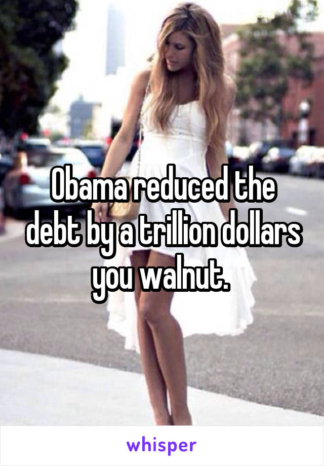 Obama reduced the debt by a trillion dollars you walnut. 