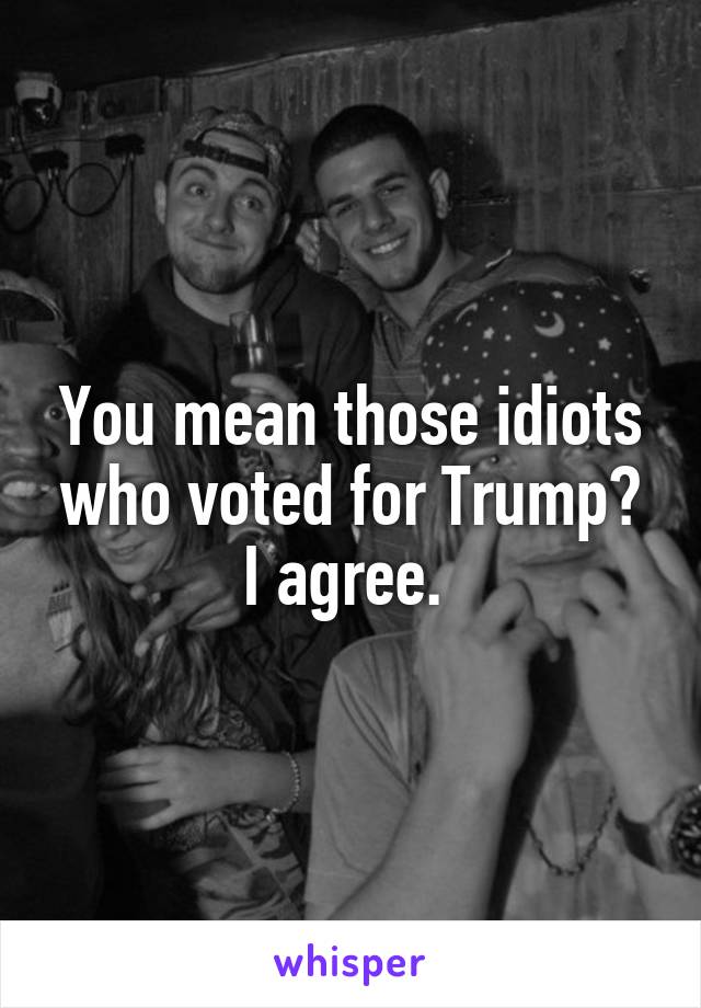 You mean those idiots who voted for Trump? I agree. 