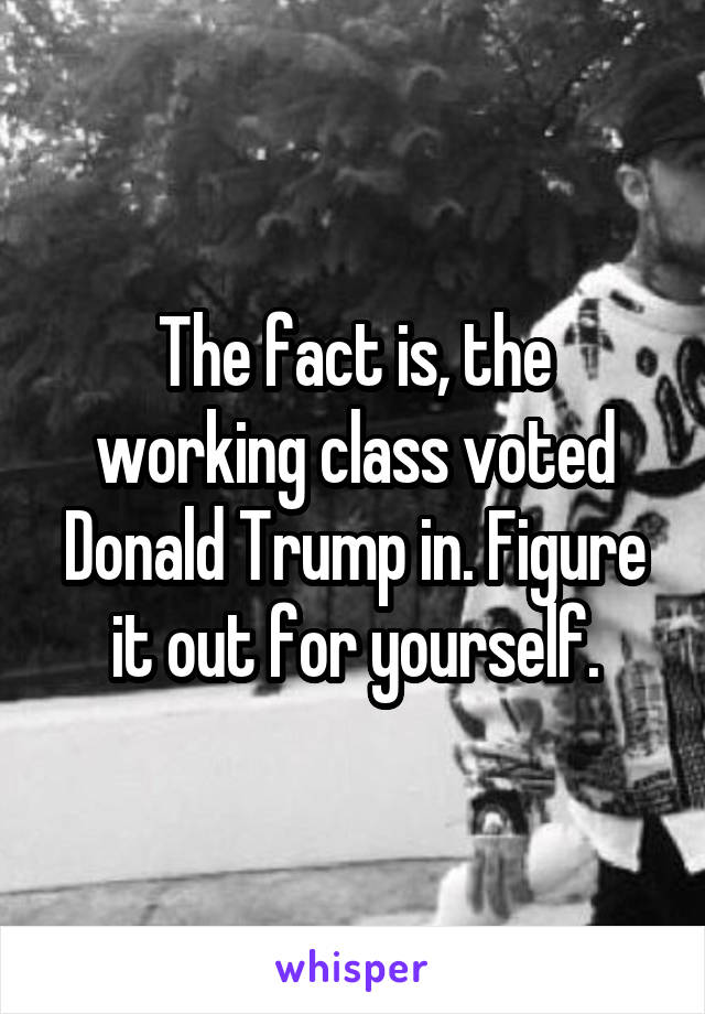 The fact is, the working class voted Donald Trump in. Figure it out for yourself.