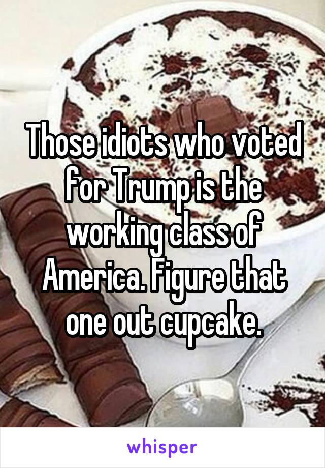 Those idiots who voted for Trump is the working class of America. Figure that one out cupcake.