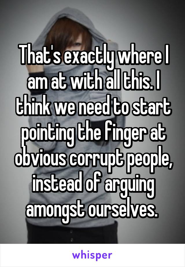 That's exactly where I am at with all this. I think we need to start pointing the finger at obvious corrupt people, instead of arguing amongst ourselves. 