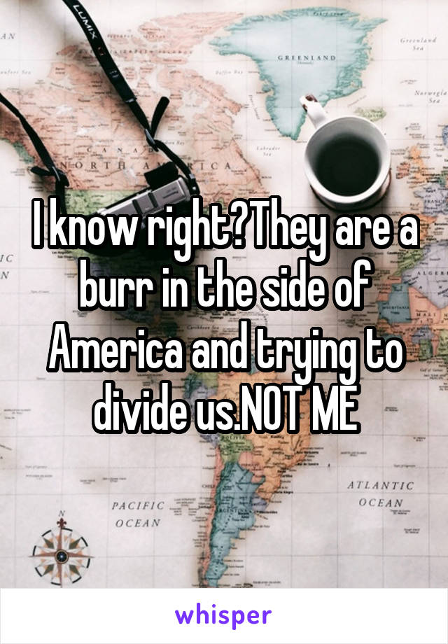 I know right?They are a burr in the side of America and trying to divide us.NOT ME