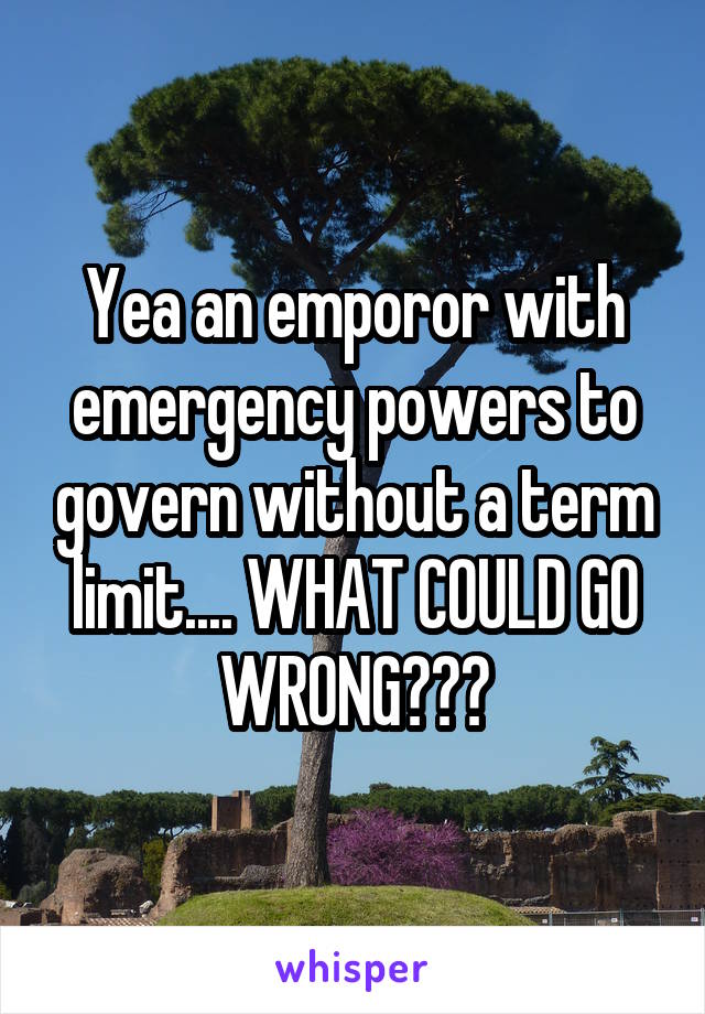 Yea an emporor with emergency powers to govern without a term limit.... WHAT COULD GO WRONG???