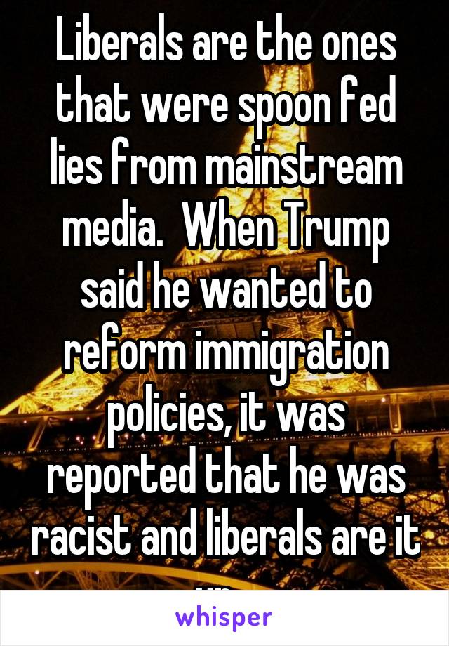 Liberals are the ones that were spoon fed lies from mainstream media.  When Trump said he wanted to reform immigration policies, it was reported that he was racist and liberals are it up.  