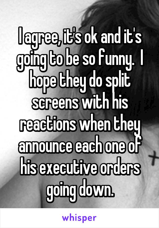 I agree, it's ok and it's going to be so funny.  I hope they do split screens with his reactions when they announce each one of his executive orders going down.