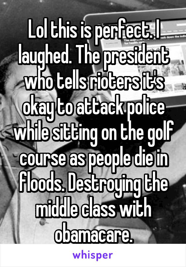 Lol this is perfect. I laughed. The president who tells rioters it's okay to attack police while sitting on the golf course as people die in floods. Destroying the middle class with obamacare.