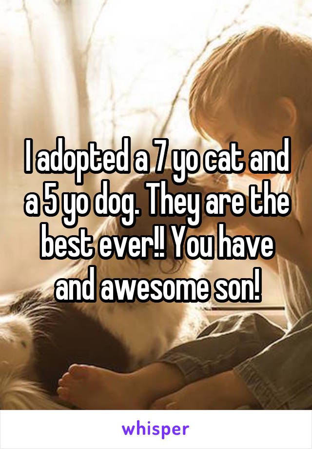 I adopted a 7 yo cat and a 5 yo dog. They are the best ever!! You have and awesome son!