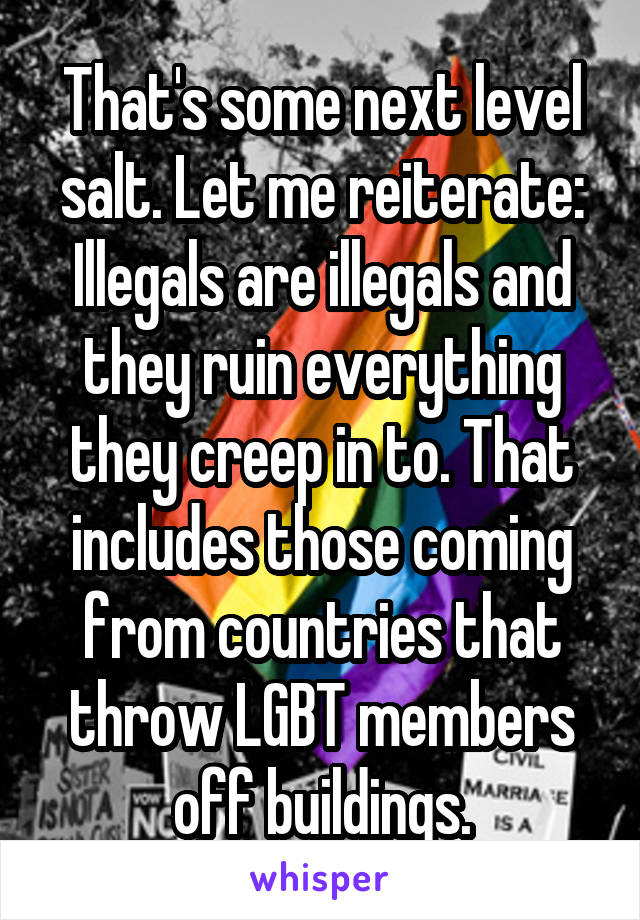 That's some next level salt. Let me reiterate: Illegals are illegals and they ruin everything they creep in to. That includes those coming from countries that throw LGBT members off buildings.