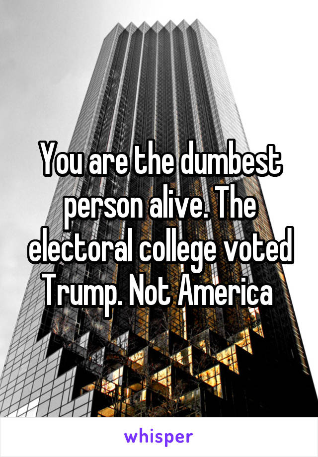 You are the dumbest person alive. The electoral college voted Trump. Not America 