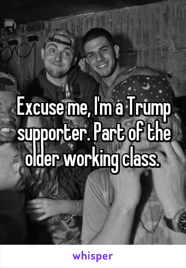 Excuse me, I'm a Trump supporter. Part of the older working class. 