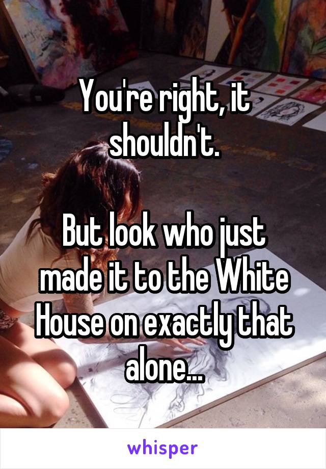 You're right, it shouldn't.

But look who just made it to the White House on exactly that alone...